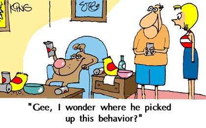 Bad Dog - Funny Cartoons