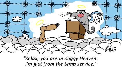 Doggy Heaven - Funny Cartoons