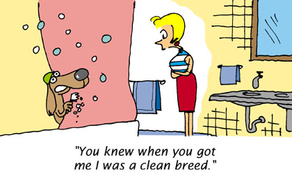 Clean Breed - Funny Cartoons