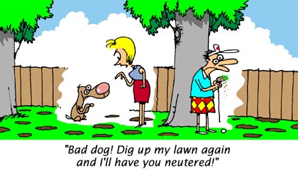 Bad Dog - Funny Cartoons